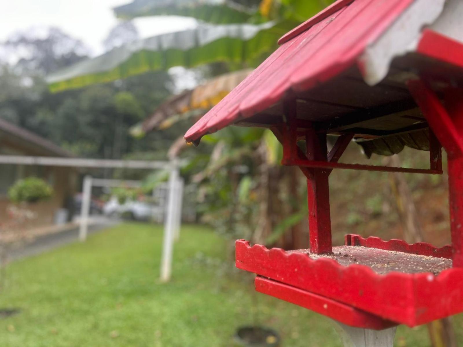 Bela Vista Hospedagem Joinville Kültér fotó